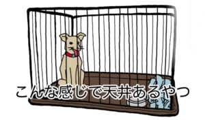 保護犬を迎える準備として、ケージを準備しました。狭すぎず、犬のサイズに合ったものです。