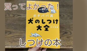 保護犬を迎える前に買ってよかったのは、犬の躾に関する本です。ポチパパさんのしつけの本を買って、すごく勉強になりました。